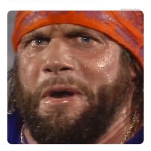 Meet your Posher, Bradley